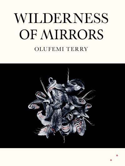 Wilderness of Mirrors